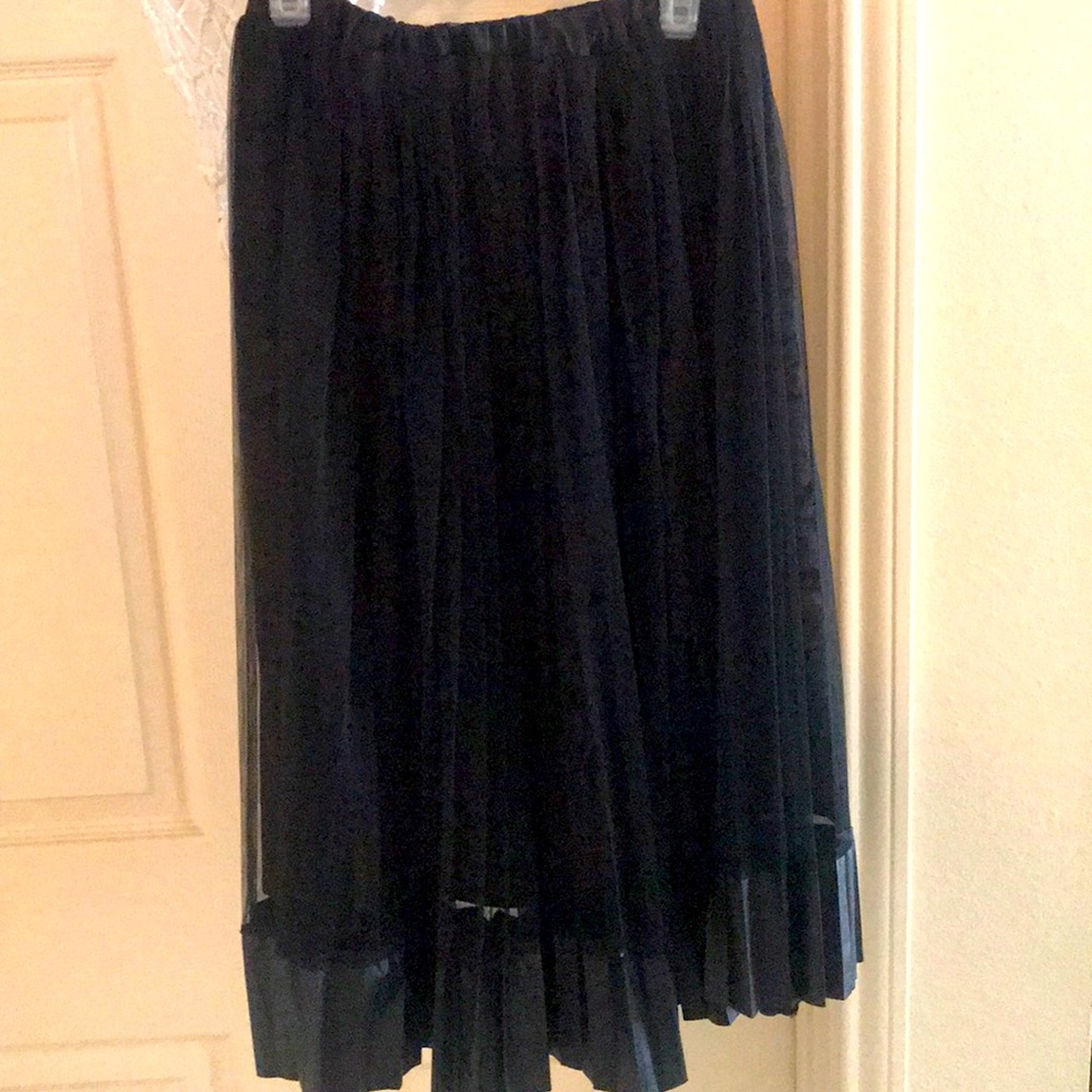 A beautiful Pleated Skirt